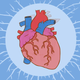 Illustration for article titled How the heart actually works